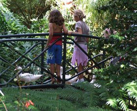 EG Waterhouse National Camellia Garden - Holiday Great Ocean Road 0