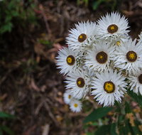 Hastings Forest Way touring route - Holiday Great Ocean Road