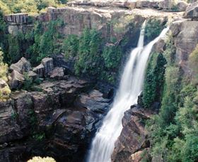 Minnamurra Rainforest Centre: Budderoo National Park - Holiday Great Ocean Road 0