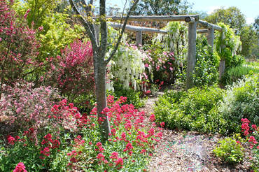 Ivy Hill Gallery - Holiday Great Ocean Road 6