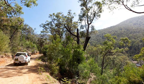 Wadbilliga Road Drive - Holiday Great Ocean Road 1