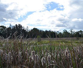 Jabiru Geenbeebeinga Wetlands - Holiday Great Ocean Road 1
