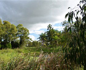 Jabiru Geenbeebeinga Wetlands - Holiday Great Ocean Road 2