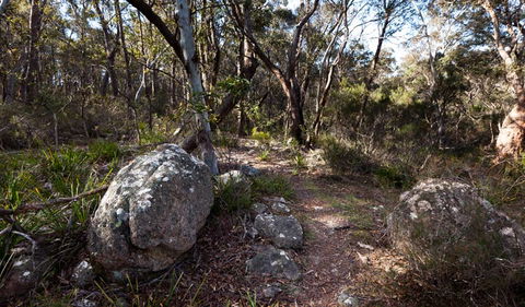 Wadbilliga National Park - Holiday Great Ocean Road 2