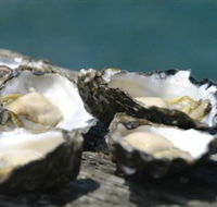 Jim Wilds Oyster Service - Holiday Great Ocean Road