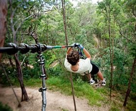 TreeTop Challenge - Holiday Great Ocean Road 0