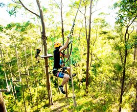 TreeTop Challenge - Holiday Great Ocean Road 3
