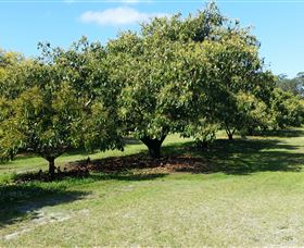 The Avocado Farm - Holiday Great Ocean Road 1
