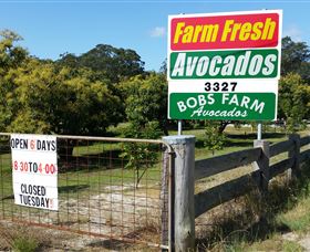The Avocado Farm - Holiday Great Ocean Road 3