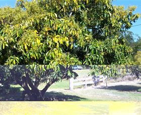 The Avocado Farm - Holiday Great Ocean Road 2