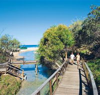 Eli Creek - Holiday Great Ocean Road
