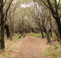 Pretty Beach to Snapper Point walking track - Holiday Great Ocean Road