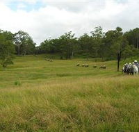 Numinbah Valley Adventure Trails - Holiday Great Ocean Road