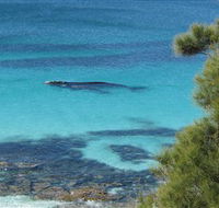 Jervis Bay Marine Park - Holiday Great Ocean Road