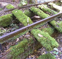Wootton Historical Railway Walk - Holiday Great Ocean Road