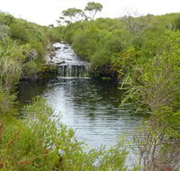Booderee National Park Green Patch and Telegraph Creek Walking Tracks - Holiday Great Ocean Road