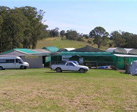 Tinonee Orchid Nursery - Holiday Great Ocean Road 0