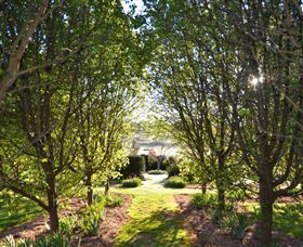 All Saints Garden - Holiday Great Ocean Road 4