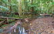 Ulidarra National Park - thumb 0