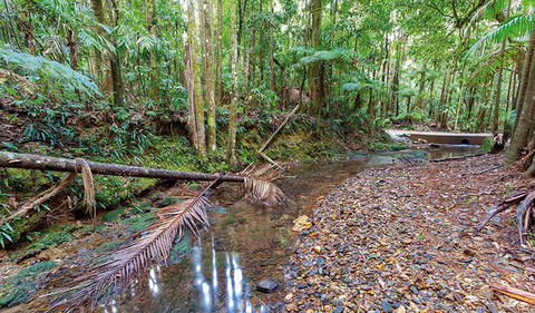 Ulidarra National Park - Holiday Great Ocean Road 0