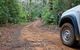 Ulidarra National Park - thumb 2