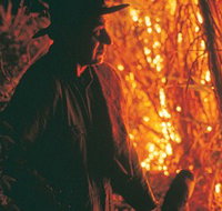 The Shed Gallery - Holiday Great Ocean Road