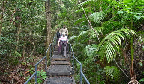Falls Walking Track - Holiday Great Ocean Road 2
