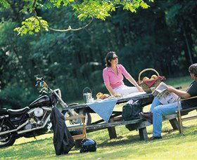 Victoria Park Nature Reserve - Holiday Great Ocean Road 2
