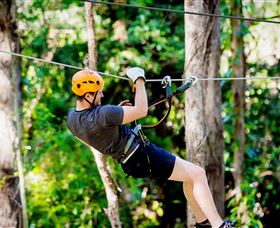 TreeTop Challenge Currumbin - Holiday Great Ocean Road 0