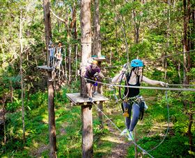 TreeTop Challenge Currumbin - Holiday Great Ocean Road 1