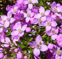 Broadwater National Park - Holiday Great Ocean Road