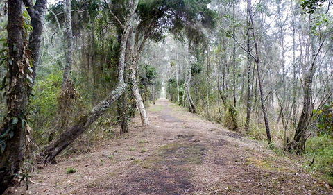 Walk On Water Walking Track - Holiday Great Ocean Road 2