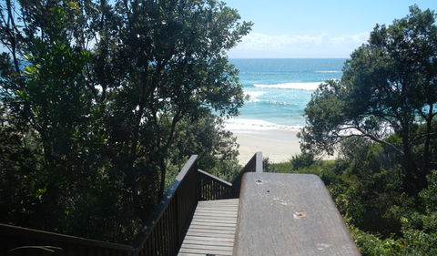Jack Perkins Walking Track - Holiday Great Ocean Road 2