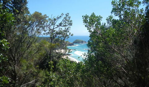 Jack Perkins Walking Track - Holiday Great Ocean Road 1