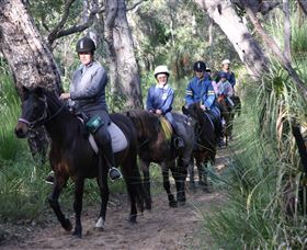 Mirravale Horse Riding School - Holiday Great Ocean Road 0