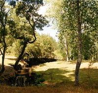 Oldina Picnic Area - Holiday Great Ocean Road