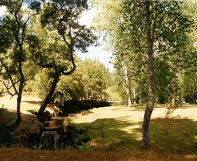 Oldina Picnic Area - Holiday Great Ocean Road 0
