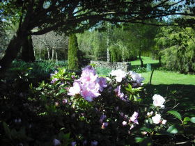 Annsleigh Gardens And Cafe - Holiday Great Ocean Road 3
