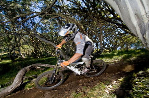 All Terrain Cycles - Holiday Great Ocean Road 0