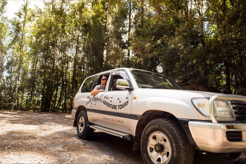 Tall Timbers Adventure Tours - Holiday Great Ocean Road 11