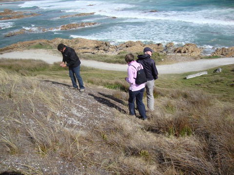 Tall Timbers Adventure Tours - Holiday Great Ocean Road 12