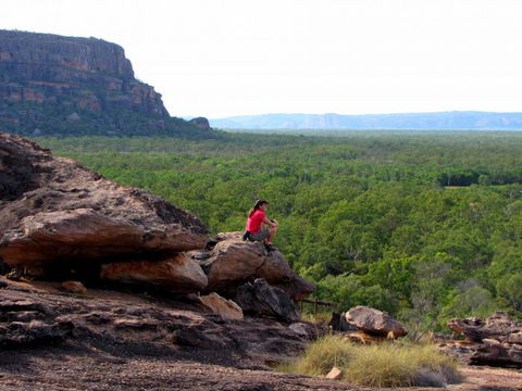 Echidna Walkabout Nature Tours - Holiday Great Ocean Road 21