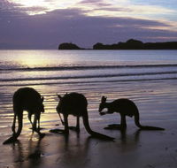 Beachcomber Cove Track