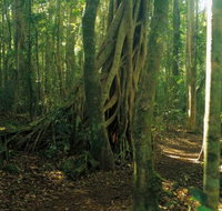Tullawallal circuit - Holiday Great Ocean Road
