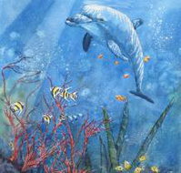 Nadas Fine Art Gallery - Holiday Great Ocean Road