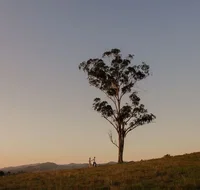 Faulls Ridge Winery - Holiday Great Ocean Road