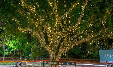 The Sunshine Coast Tour Company - Holiday Great Ocean Road 3