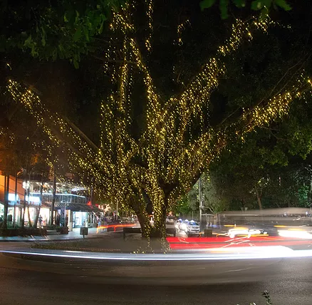 The Sunshine Coast Tour Company - Holiday Great Ocean Road 2