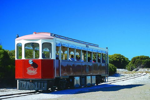 Rottnest Island Grand Tour Including Lunch And Historical Train Ride - Holiday Great Ocean Road 6