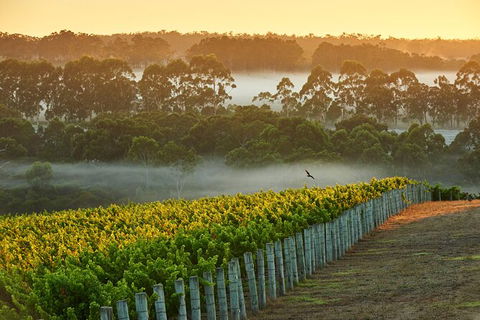 Cape Mentelle Behind The Scenes Tour With Food & Wine Pairing - Holiday Great Ocean Road 3